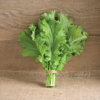 ルテイン,野菜,含有量,9位,,マスタードグリーン